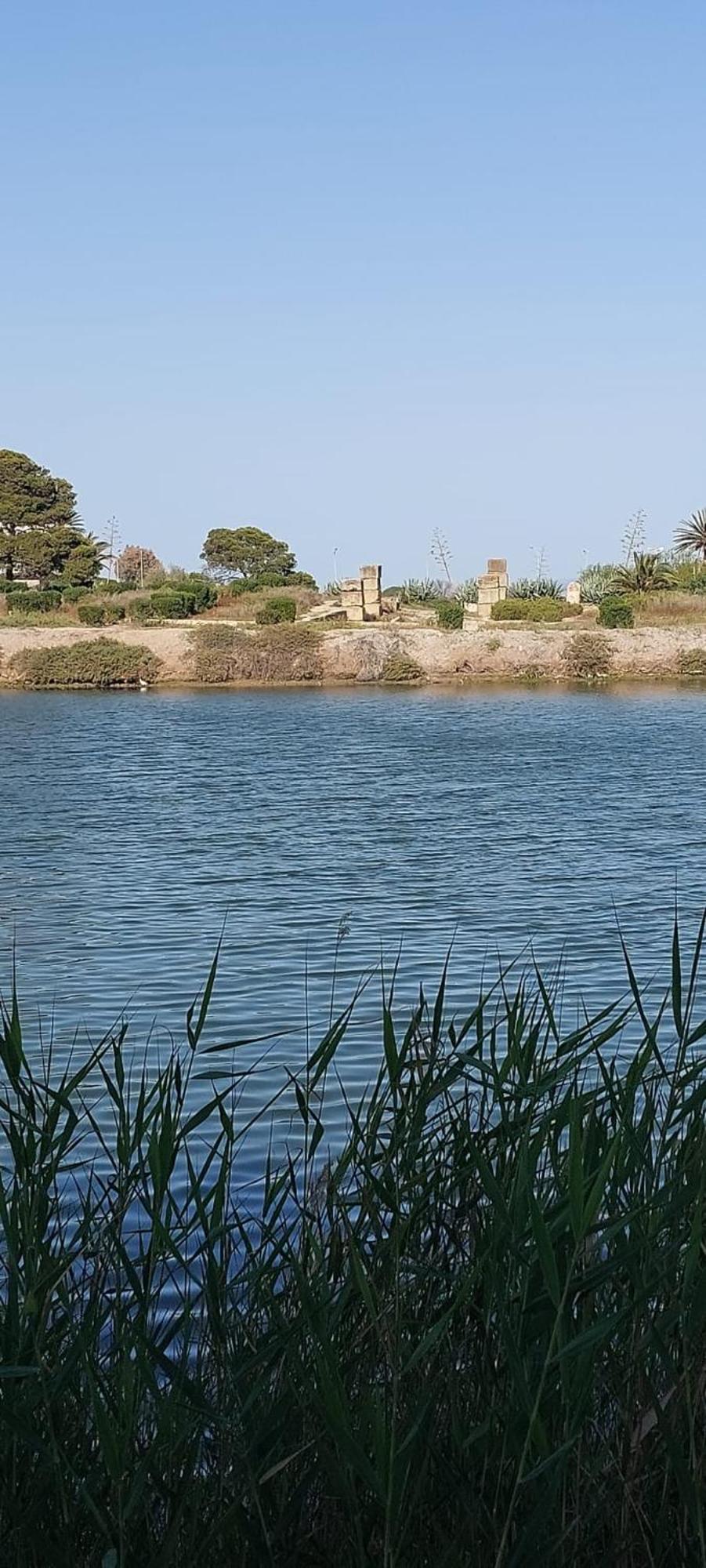 "L'Abri Cotier" Appartement 3 Chambres Haut Standing Port Punique Carthage Douar ech Chott المظهر الخارجي الصورة